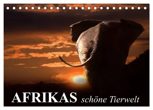 Elisabeth Stanzer | Afrikas schöne Tierwelt Tischkalender 2026 - Kalender mit 14 beeindruckenden Bildern der afrikanischen Tierwelt, ideal für Naturfreunde und als Geschenk.