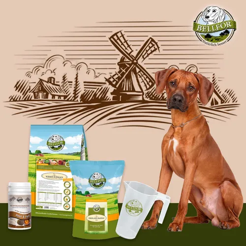 Bellfor Hundefutter Trocken Soft Snack Huhn - Getreidefreies Futter - 4,28 kg Trockenfutter für Hunde, kaltgepresst und glutenfrei. Ideal für ausgewachsene Hunde aller Größen. Unterstützt eine gesunde Ernährung ohne Getreide.