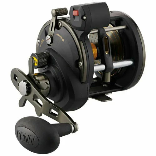 Penn Squall II 20LWLC Schnurzähler Meeresrolle - Angelrolle für Salzwasserangeln mit integriertem Schnurzähler, ideal für präzises Fischen, Gewicht: 530g, max. Widerstand: 14,9kg.