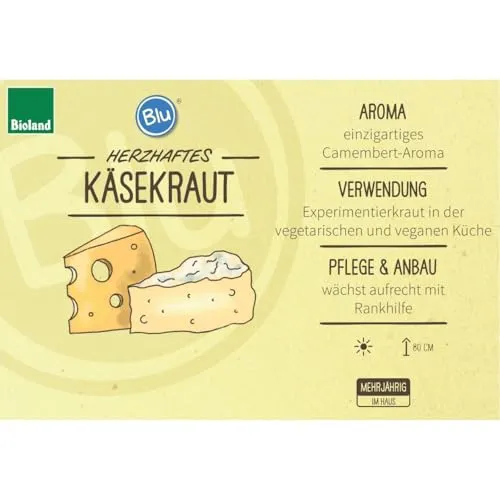 Käsekraut in BIO-Qualität - Paederia lanuginosa im 12cm Topf - Entdecke das einzigartige Käsekraut mit seinem besonderen Aroma! Ideal für kreative Gerichte und Veggie-Fans. Mehrjährig und pflegeleicht, wächst es am besten an einem sonnigen Standort.
