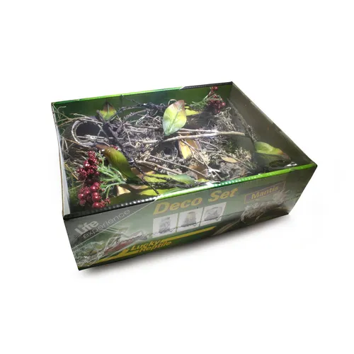 Lucky Reptile Life Experience Deco Set Mantis
