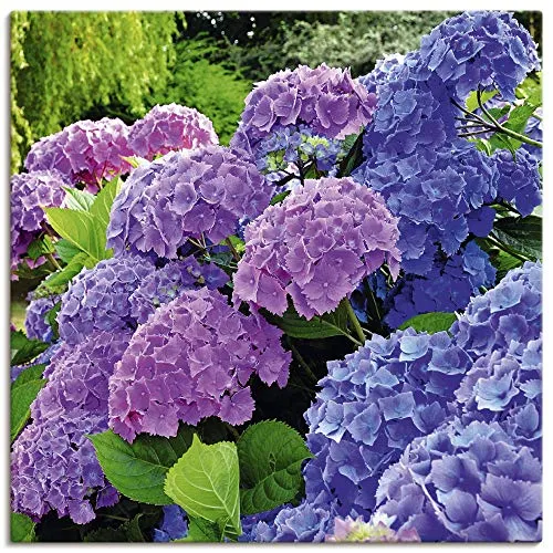 ARTLAND Wanddeko Leinwandbild 70x70 cm in lila von ARTland