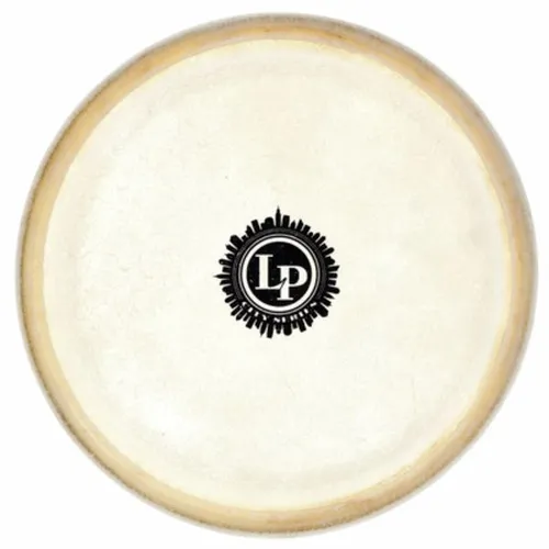 267A Conga Head City EZ 10