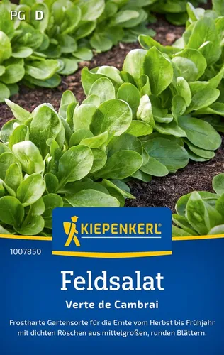 Pflanzen für Dich Gemüsesamen Feldsalatsamen Verte de Cambrai Valerianella locusta 20 lfd. Meter