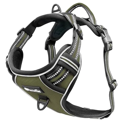 bluzelle Hundegeschirr für kleine Hunde, Reflektierendes Anti-Zug Brustgeschirr - Sicherheitsgeschirr für Hunde mit effektiven Anti-Zug Design, integrierter GPS-Tasche und reflektierenden Gurten für optimale Sichtbarkeit bei Nacht.