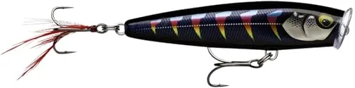 SKITTER POP ELITE SPE75 GDNIA