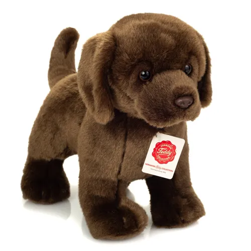 Teddy Hermann® Kuscheltier Labrador braun 30 cm - Kuscheltiere, weicher Labrador aus hochwertigem Material, ideal ab 18 Monaten und waschbar bei 30°C für langanhaltenden Spielspaß.