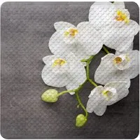 Sanilo Duschmatte Pretty von Sanilo