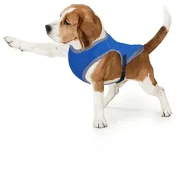 Bestlivings Kühlweste Hund - Cooling Dog vers. Größen, Atmungsaktiv - Reflektierend Kühljacke Sicherheitsweste Kühlungseffekt blau M