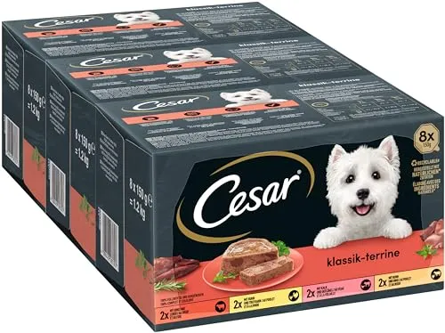 Cesar Hundefutter - Hochwertige Hundenahrung mit ausgewählten Zutaten - Cesar Hundefutter bietet 100% vollwertige Mahlzeiten in praktischen 150 g Schalen. Genießen Sie die Vielfalt mit Rind, Huhn und mehr, ganz ohne Zuckerzusatz und künstliche Stoffe.