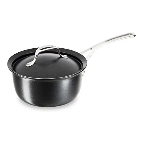 Tefal Experience The Sumptuous Stielkasserolle mit Deckel, Schwarz, 20 cm