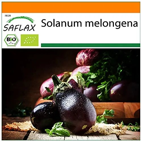 SAFLAX - Garden in the Bag - BIO - Aubergine - Black Beauty - 25 Samen - Mit Anzuchtsubstrat im praktischen, selbst aufstellenden Beutel - Solanum melongena