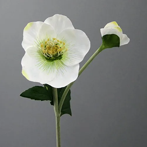 Gasper Kunstblume CHRISTROSE Schneerose mit Blüte und Knospe. Ca 44 cm.