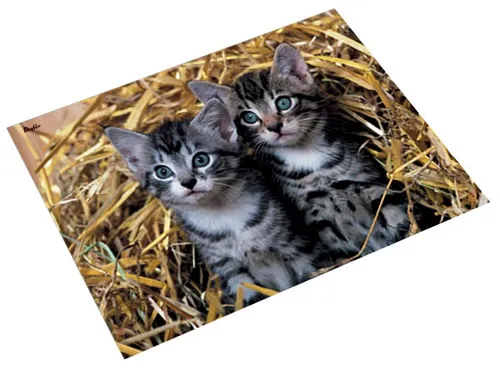 Läufer Schreibunterlage Katzen im Stroh 400 x 530 mm