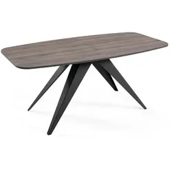 Feldmann-Wohnen Esstisch Anthrazit - Moderner Esstisch mit schlichter Eleganz, ausziehbar von 160 auf 200 cm, ideal für Esszimmer und vielseitig kombinierbar.