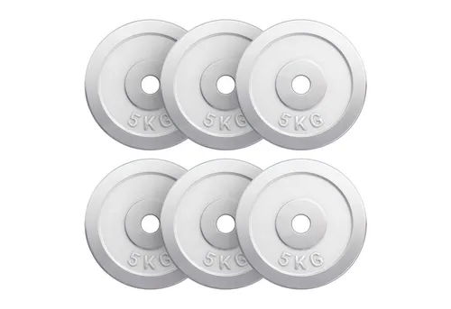 GORILLA SPORTS Hantelscheiben Einzeln oder Set, 30/31mm Bohrung, Gewichtsscheiben, Gewicht aus Chrom, Scheiben für Krafttraining, für Kurzhantel & Hantel-Set, Gewichtswahl