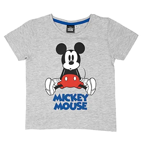 Disney Mickey Mouse T-Shirt für Jungen Oberteil Kinder Shirt kurzärmlig Grau (as3, Numeric, Numeric_98, Numeric_104, Regular, 98-104)