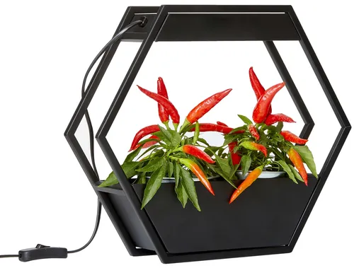 LED Pflanzenlampe 12W mit Timerfunktion - Beleuchtungsset für Indoor-Gärten, 750 Lumen Helligkeit für optimales Pflanzenwachstum und einfache Zeitschaltuhr für mühelose Handhabung.