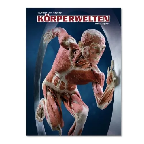 Körperwelten. Das Original