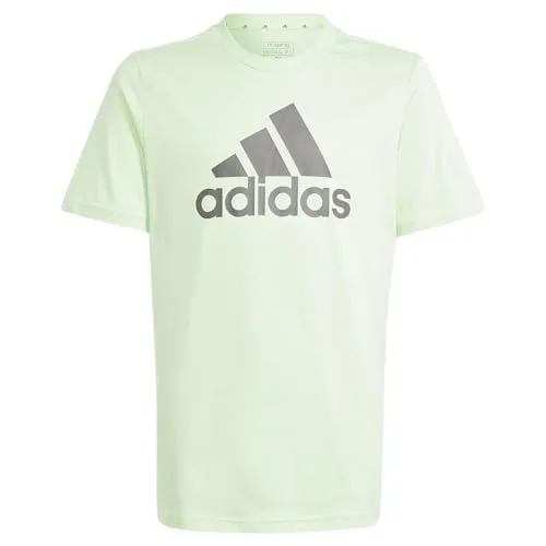 adidas Unisex Kinder Essentials Big Logo Cotton Tee, semi Green Spark/Charcoal, 15-16 Years