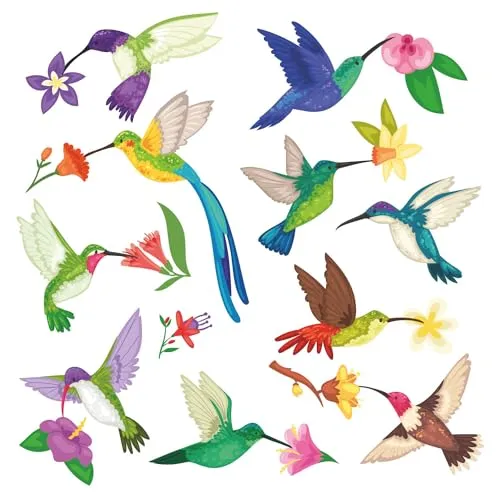 20er Set Fensterbild Kolibri mit Blumen I Vögel beidseitig bunt I Fenster-Aufkleber statisch haftend I selbstklebend wiederablösbar I dv861