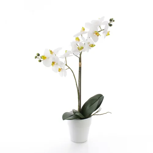artplants.de Künstliche Orchidee Phalaenopsis Candida, 2 Zweige, weiß, im Topf, 65cm - Elegante Deko Pflanze - Diese 65 cm hohe künstliche Orchidee mit zwei Blütentrieben und authentischen Blättern verleiht jedem Raum einen Hauch von Eleganz. Ideal für Friseursalons, Hotellobbys oder Wohnräume.