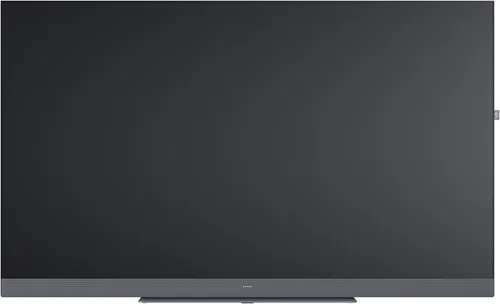Loewe We. See 55 Storm Grey Fernseher