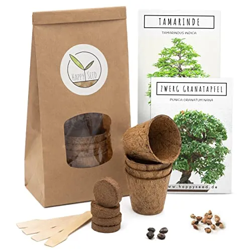 HappySeed Bonsai Starter Kit Anzuchtset inkl. GRATIS eBook