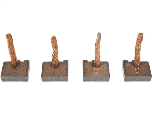 Kohlebürsten von AS