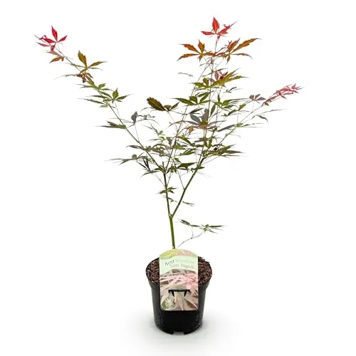 GreenboutiQ von Green boutiQ