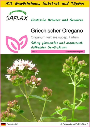 SAFLAX Kräutersamen SAFLAX - Anzuchtset - Griechischer Oregano
