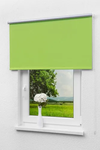 Lysel Outlet Verdunkelungsrollo Thermo Grün 102.50cm x 175cm - Hochwertiges Verdunkelungsrollo in grün, ideal für starken Wärmeschutz und Sichtschutz, individuell kürzbar und kindersicher für Ihr Zuhause.