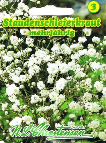 Staudenschleierkraut Schleierkraut weiß Gypsophila paniculata mehrjährig