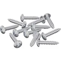 vidaXL Holzschrauben 12 Stk Silber M3,5 x 20 mm Stahl 864524