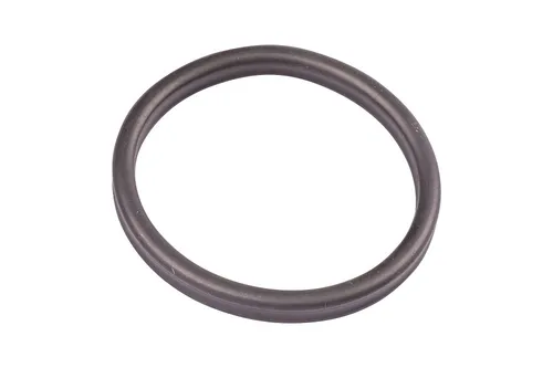 Oase Ersatzteil Ersatzdichtung Vorfilter BioMaster-Außenfilter