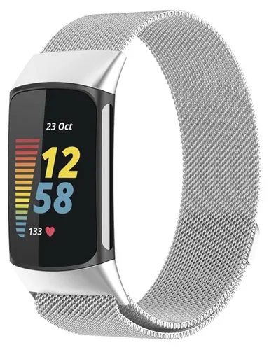 Für Fitbit Charge 6 / 5 Metall Stahl Mesh Armband mit Magnetverschluss Silber
