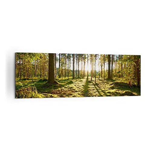 Panorama Bilder auf Leinwand 160x50cm Leinwandbild Wald Baum Natur Groß XXL Wanddeko Bild Schlafzimmer Küche Wandbilder Dekoration Wohnzimmer Wall Decor Canvas Wand Kunstdruck Art AB160x50-3724