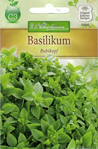 Chrestensen Basilikum 'kleinblättrig' einjährig, hellgrün, kompakt, kleinblättrig