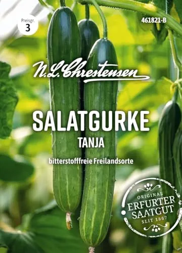 Chrestensen Salatgurke Tanja Samen, Bis 35cm lang