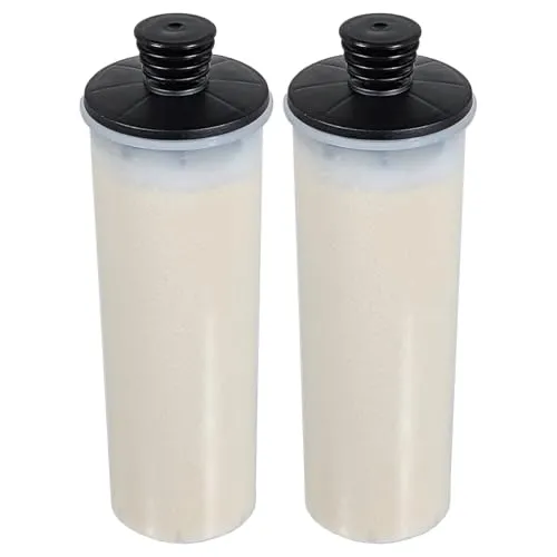 Spares2go Entkalken der Filterpatrone für Karcher SC2 SC3 127V BR SC3MX Upright Easyfix Plus Dampfreiniger (2er-Pack)
