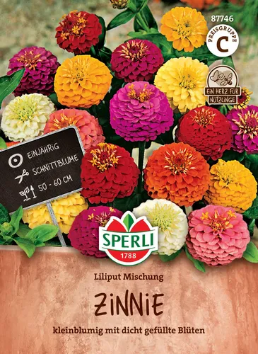 Mein schöner Garten DE SPERLI Zinnie 