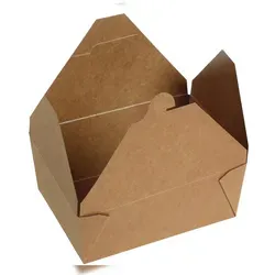 DeinPack 40x Take Away Box 2500ml I Bio Speisebox mit Faltdeckel Pappschachtel rechteckig