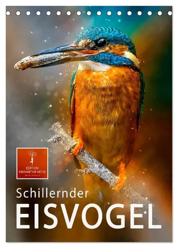CALVENDO Wandkalender Schillernder Eisvogel (Tischkalender 2026 DIN A5 hoch), CALVENDO Monat