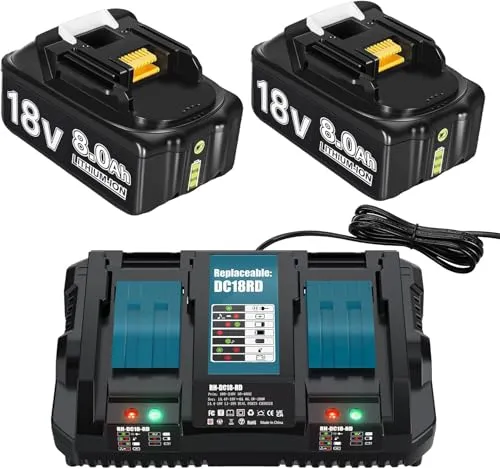 2X 5.5Ah Ersatzkku für Makita Akku 18V + Dual Port 6A DC18RD Ladegerät