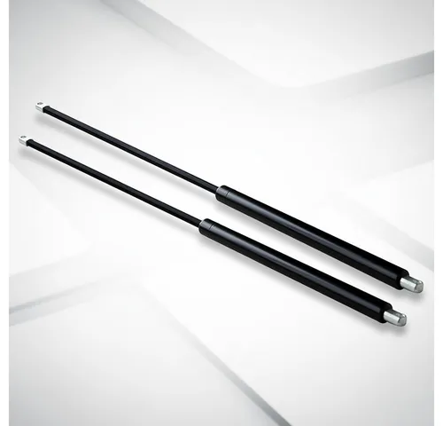 Mucola Druckregler 2 Stück Gasdruckfeder 1500N