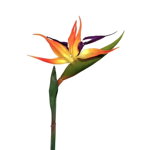 Floratexx Künstliche Strelitzie 60cm Kunstblume Paradiesvogelblume Papageienblume Tropische Pflanzen