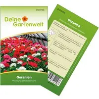 Deine Gartenwelt Hängegeranien Mischung Samen