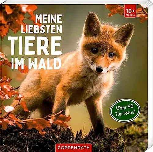 Meine liebsten Tiere im Wald