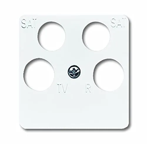 Busch-Jaeger 1743/10-04-214 Zentralscheibe