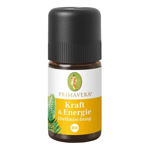 Kraft & Energie